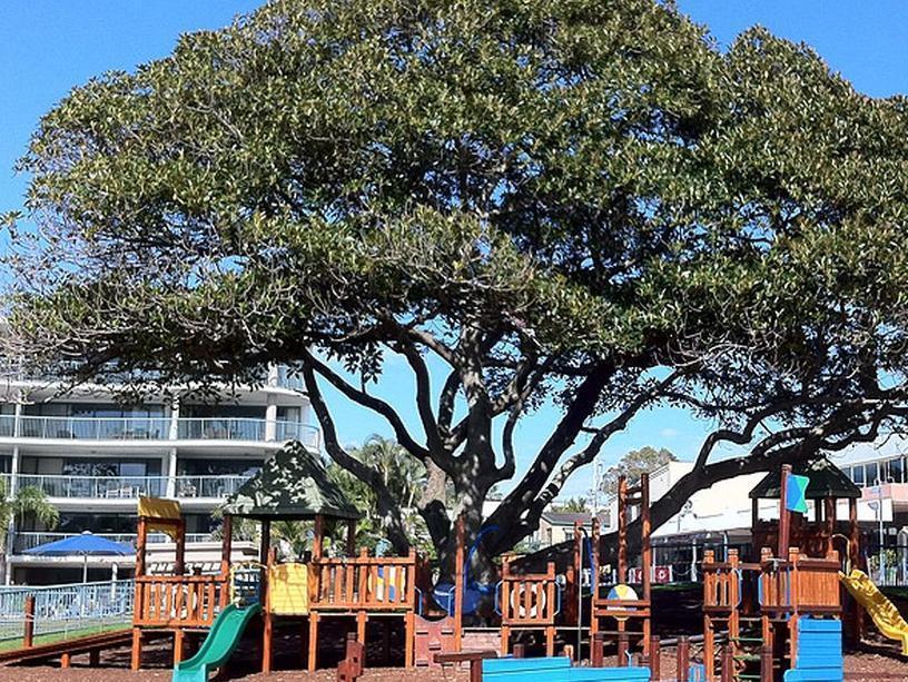 Moffat Beach Motel Caloundra Buitenkant foto